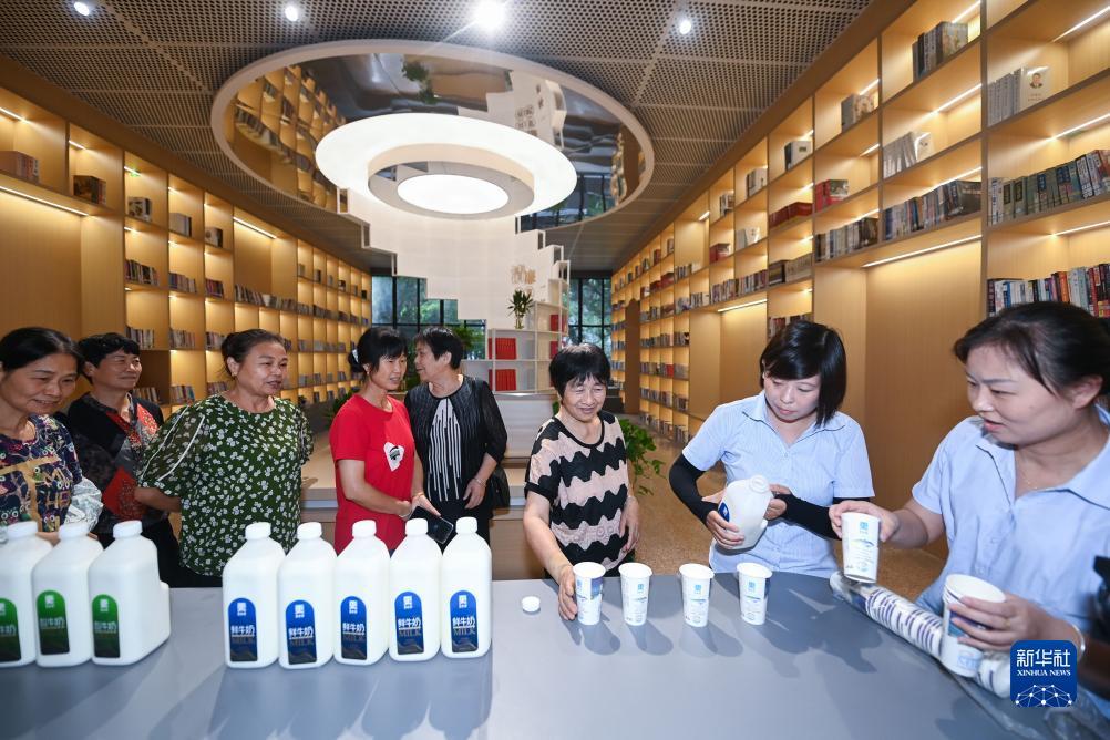 免费申请彩金